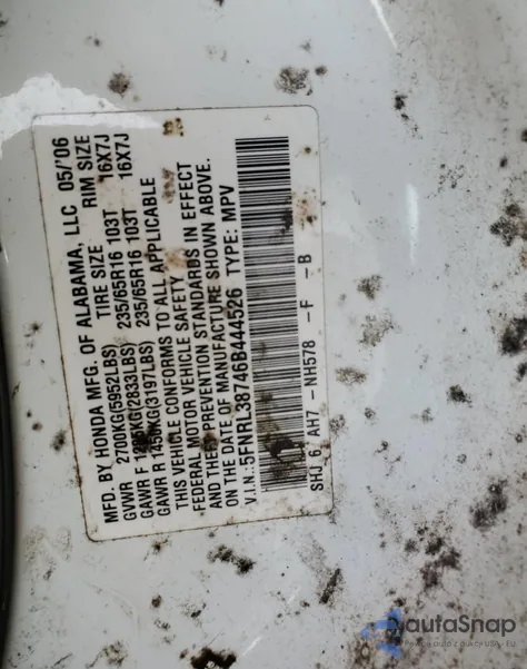 2006 Honda Odyssey Exl from USA, damaged, VIN 5FNRL38746B444526